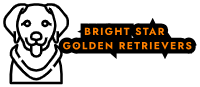 brightstargoldenretrievers.com