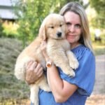 Golden Retriever Puppies for sale