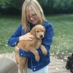 Golden Retriever Puppies for sale