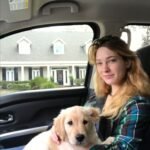 Golden Retriever Puppies for sale
